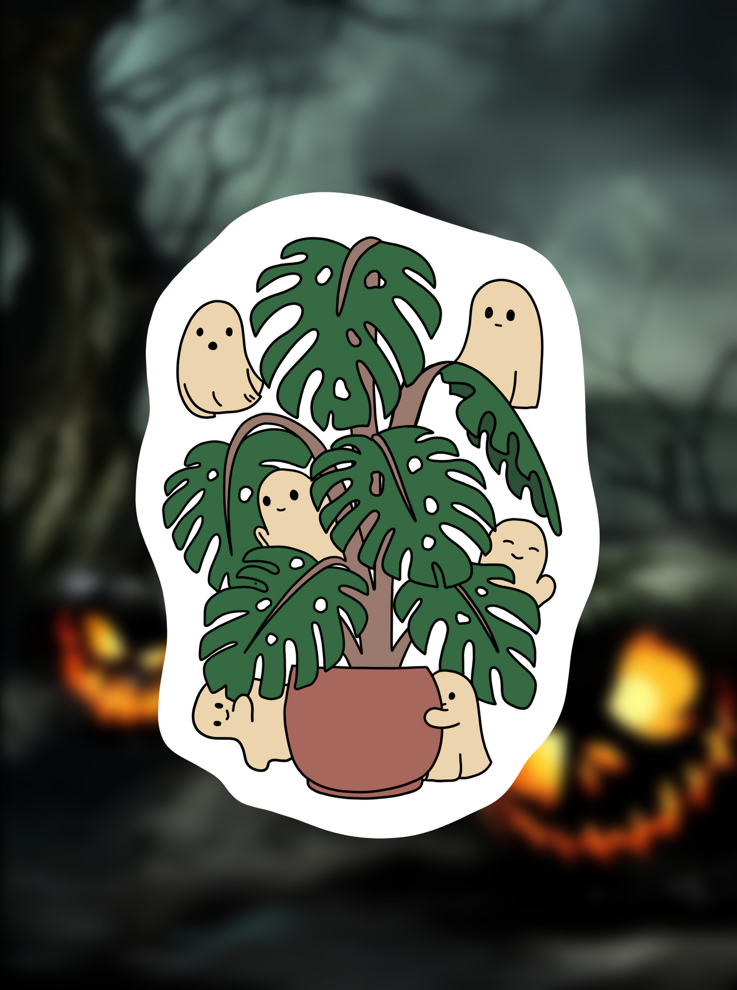 Ghost plant