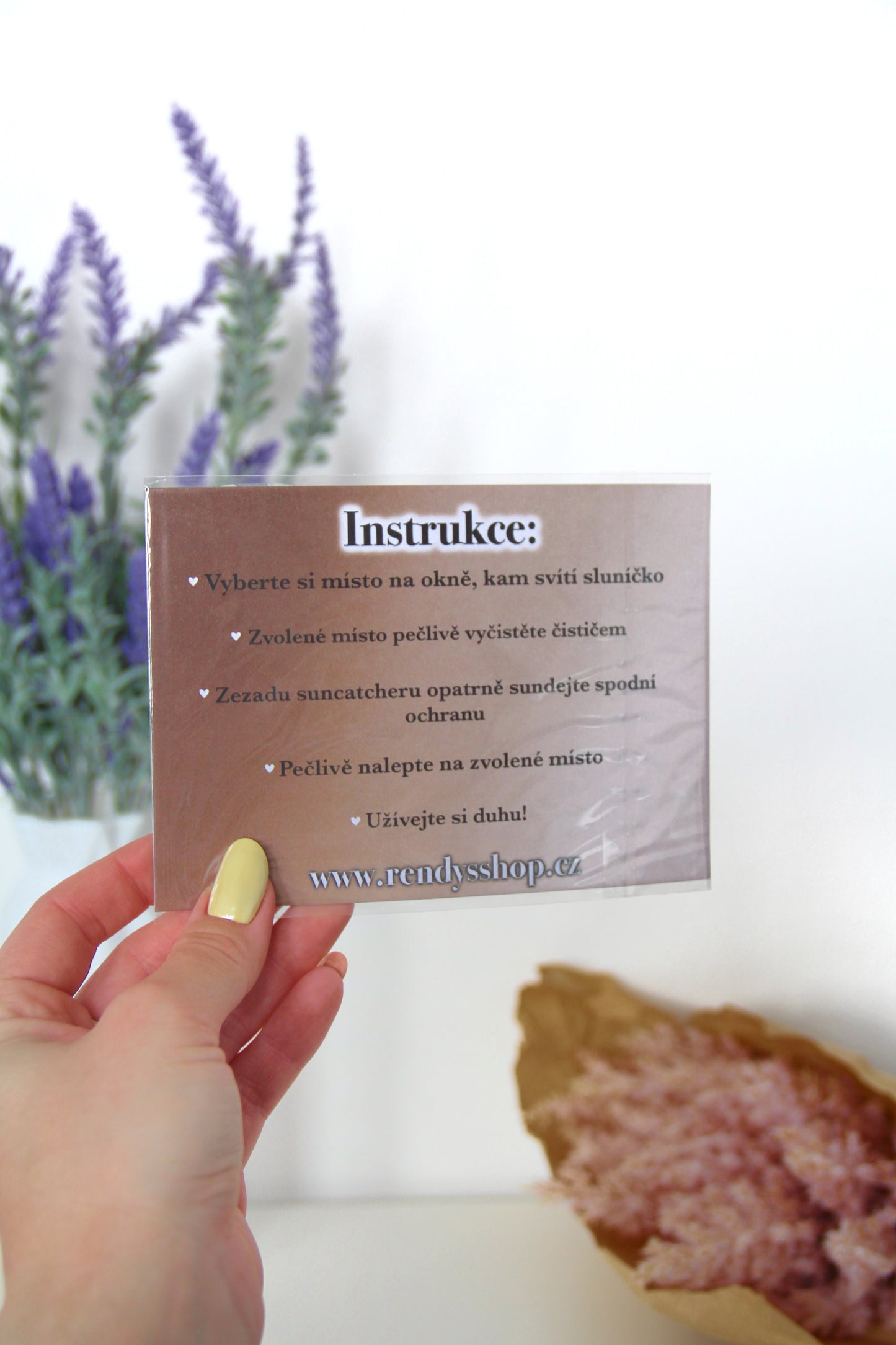 Suncatcher - Horse shoe