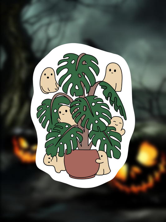Ghost plant