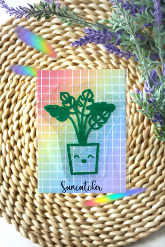 Suncatcher - Lovely plant